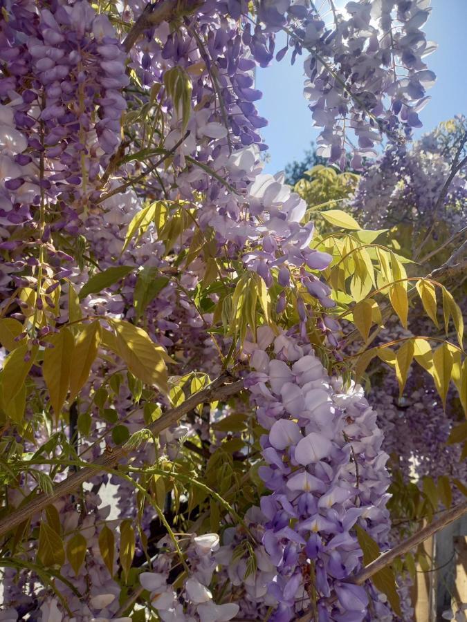 Lilac House Corfu  Екстериор снимка